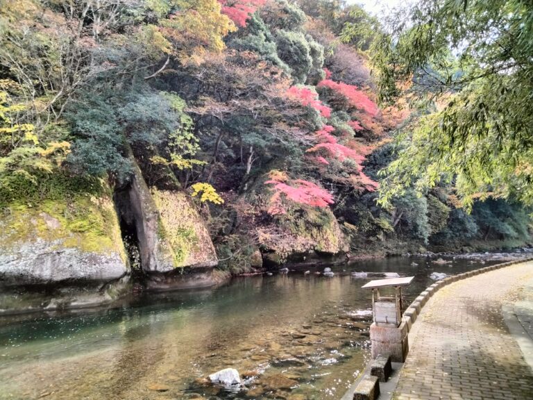 紅葉が始まりましたイメージ